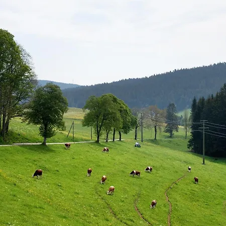 Lejlighed Weissenhof Herr Armin Heizmann *